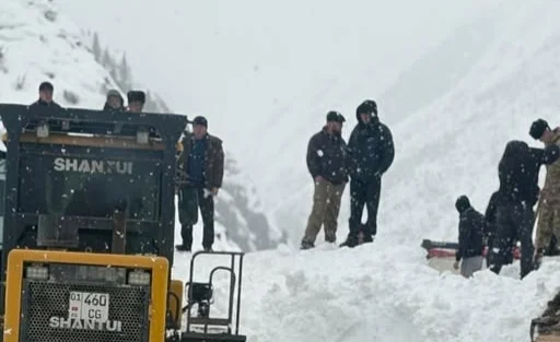 WhatsApp Image 2026-03-07 at 16.28.26.jpeg