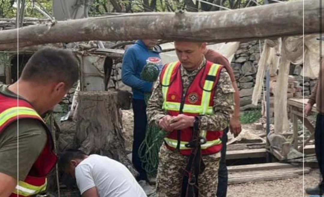 WhatsApp Image 2026-04-07 at 09.24.46.jpeg