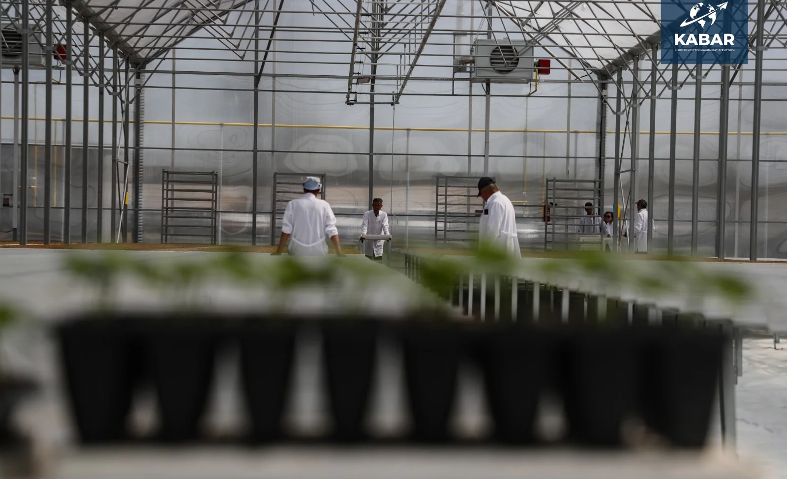 WhatsApp Image 2026-01-16 at 16.19.40.jpeg