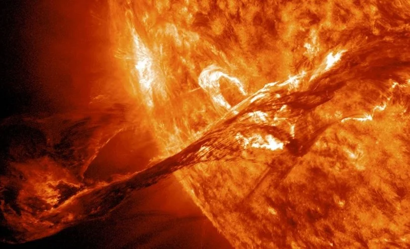 WhatsApp Image 2026-04-29 at 07.56.30.jpeg