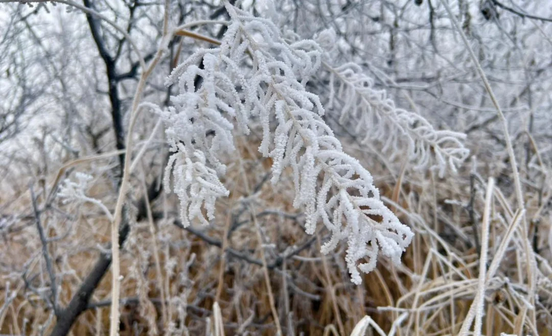 WhatsApp Image 2026-01-08 at 13.10.05.jpeg