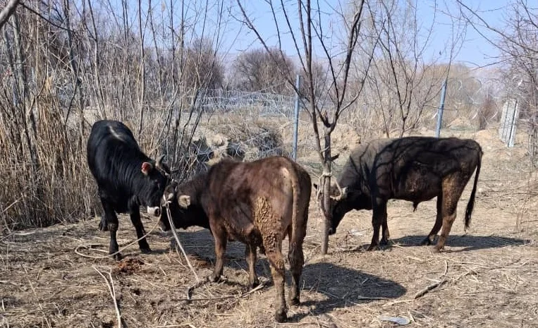 WhatsApp Image 2026-03-13 at 11.30.33.jpeg