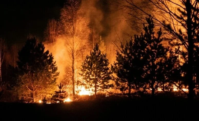 WhatsApp Image 2026-04-27 at 09.03.13.jpeg