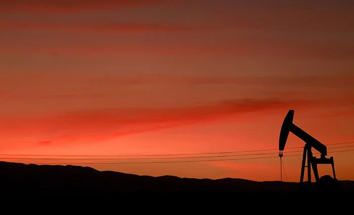 WhatsApp Image 2026-03-12 at 05.55.20.jpeg