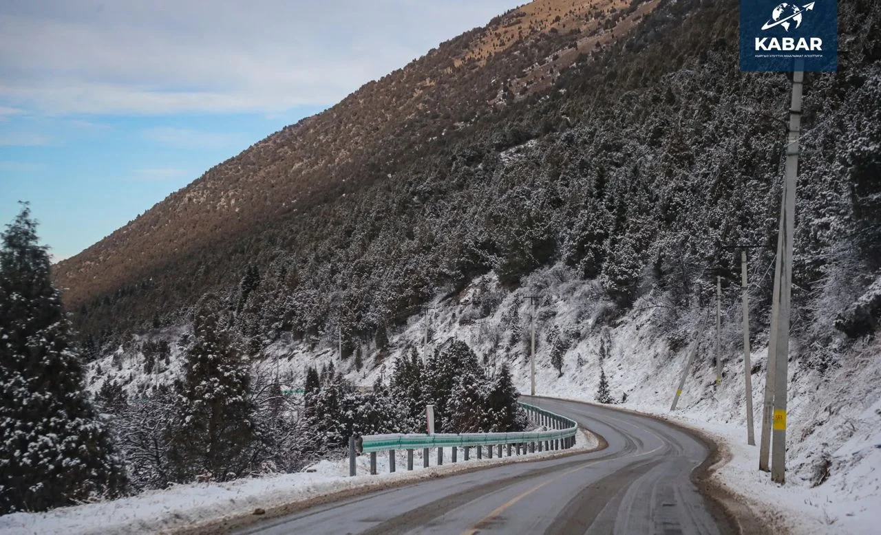 WhatsApp Image 2026-03-14 at 09.33.41.jpeg