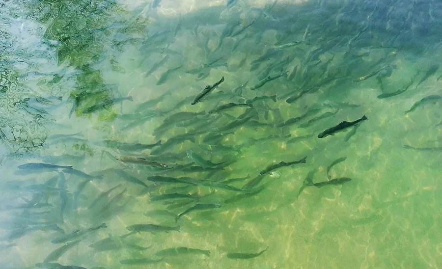 WhatsApp Image 2026-03-19 at 13.34.55.jpeg