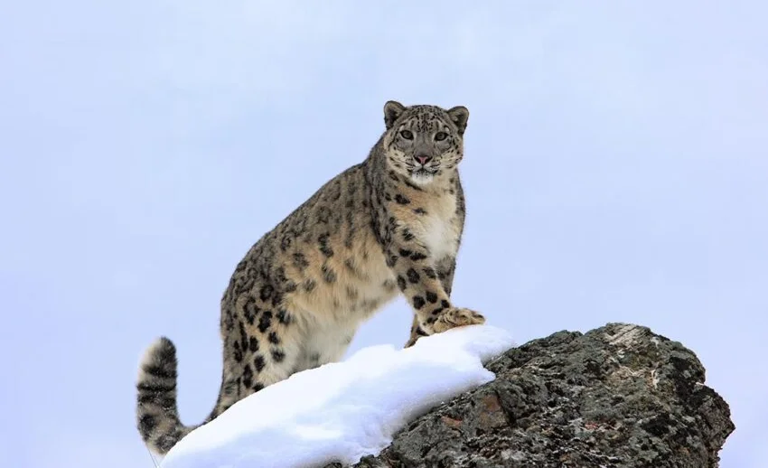 WhatsApp Image 2026-03-13 at 13.47.19 (1).jpeg