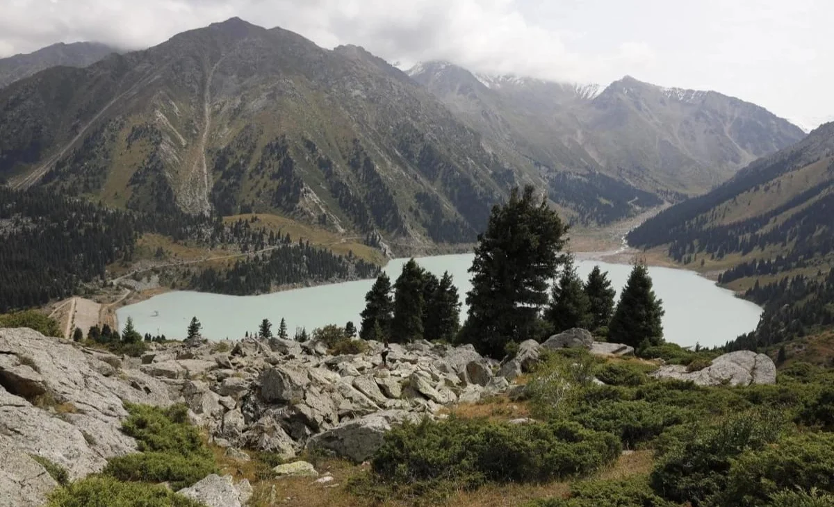 WhatsApp Image 2026-02-11 at 08.19.32.jpeg