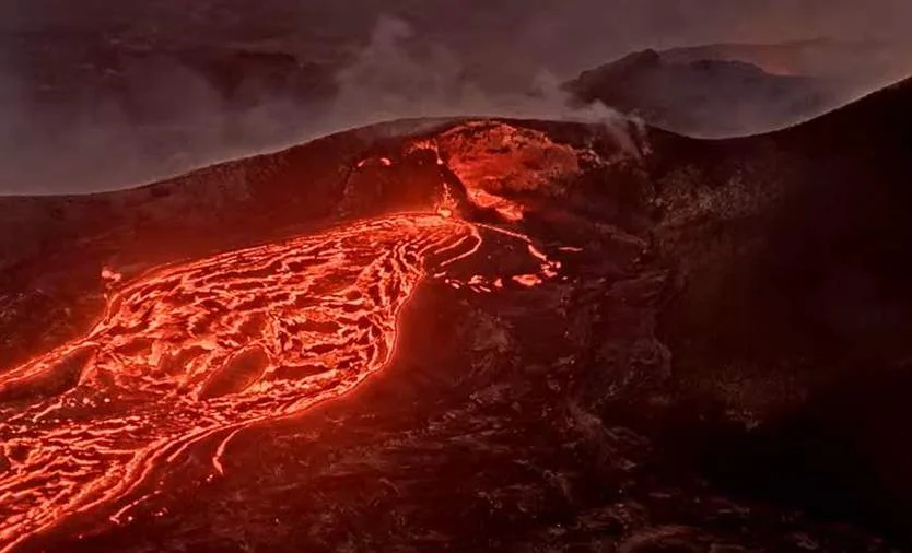 WhatsApp Image 2026-03-11 at 08.43.16.jpeg