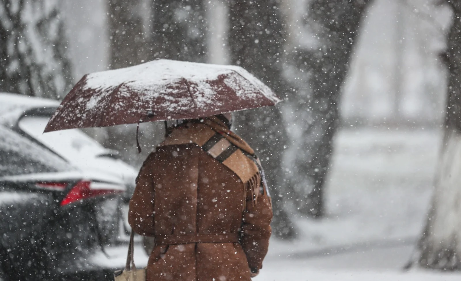 WhatsApp Image 2026-01-16 at 16.37.08.jpeg