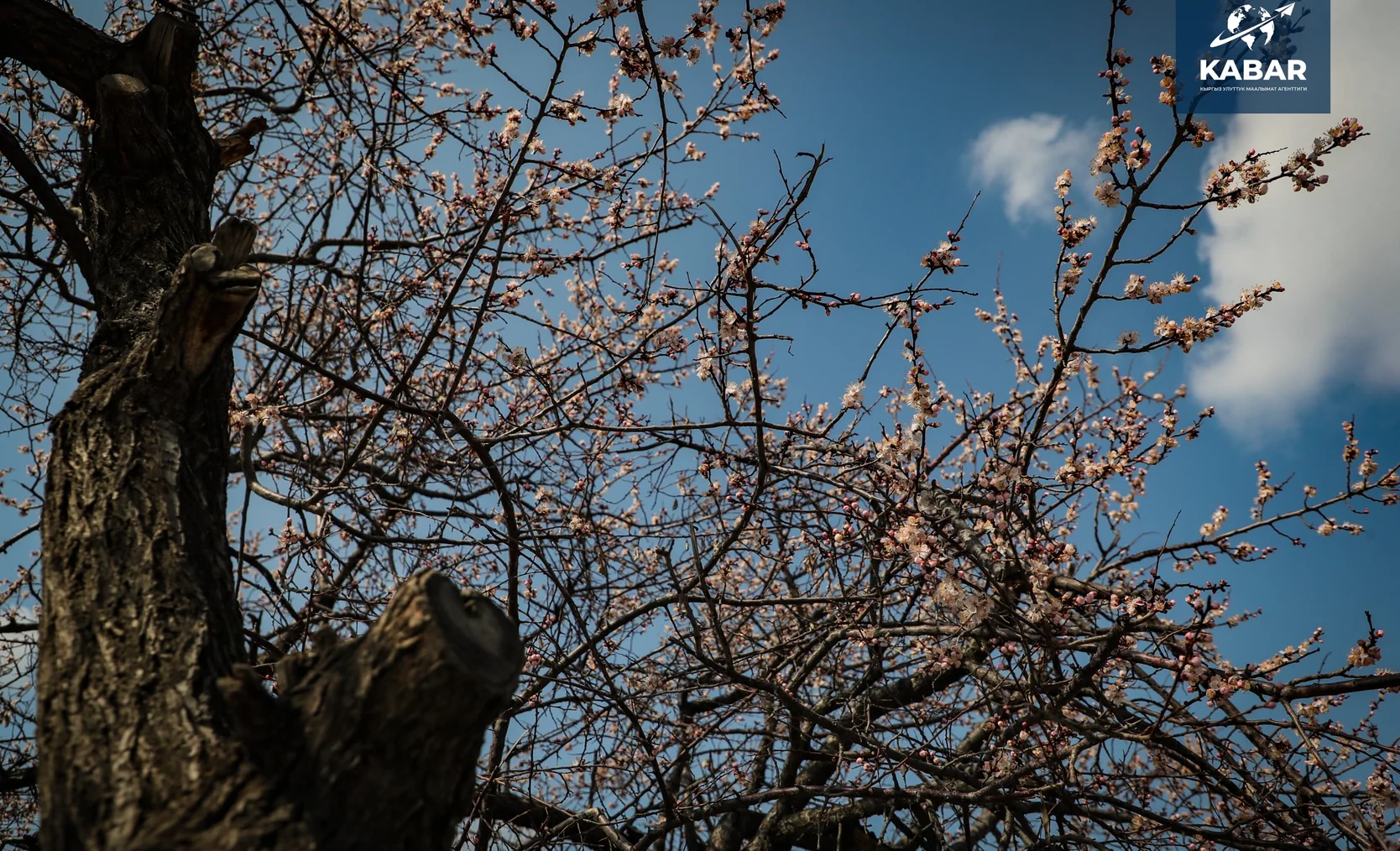 WhatsApp Image 2026-03-24 at 16.24.10.jpeg