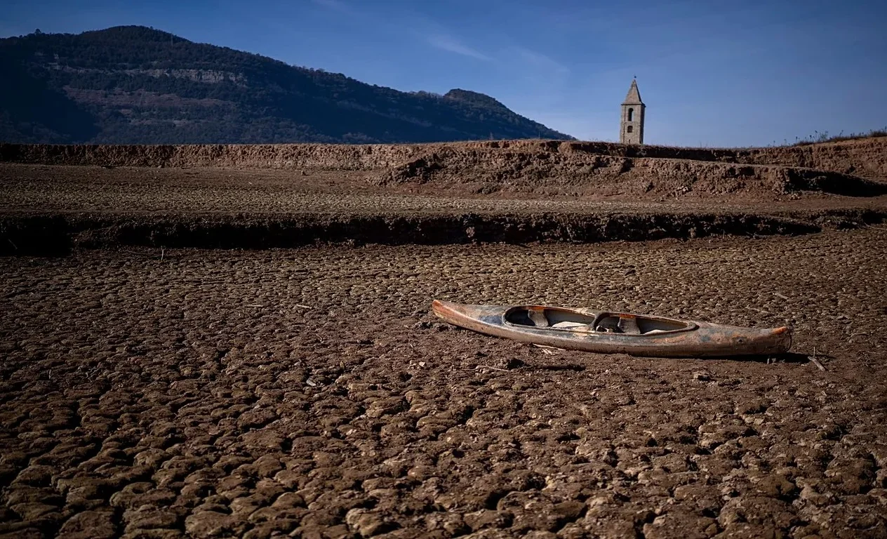 WhatsApp Image 2026-03-10 at 15.21.59.jpeg