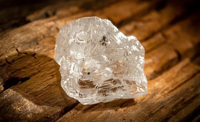 WhatsApp Image 2026-03-24 at 08.43.05.jpeg