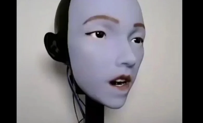 WhatsApp Image 2026-01-17 at 14.38.27.jpeg