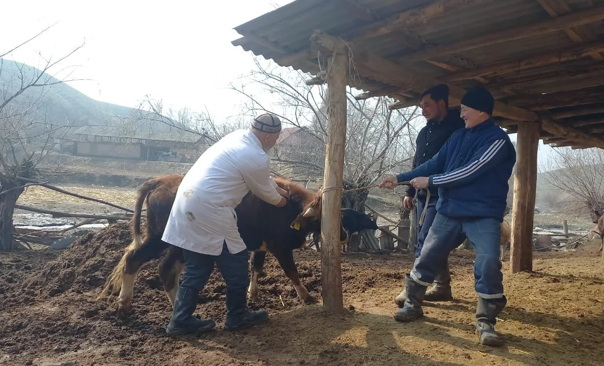 WhatsApp Image 2026-03-17 at 11.45.10.jpeg