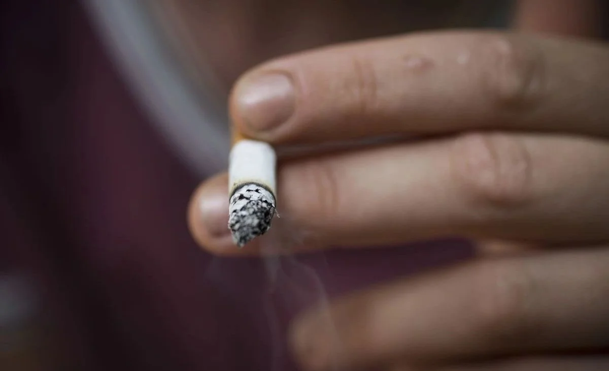 WhatsApp Image 2026-04-23 at 10.09.49.jpeg