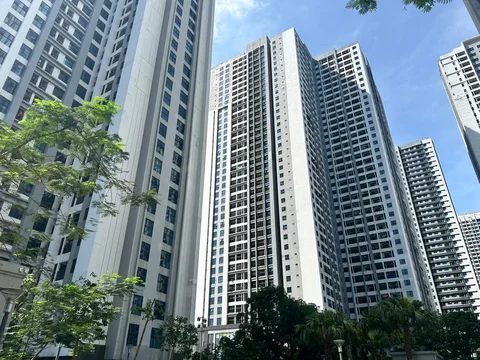 WhatsApp_Image_EOFMMkG.max-2560x1440.format-webp.jpegquality-90.webp