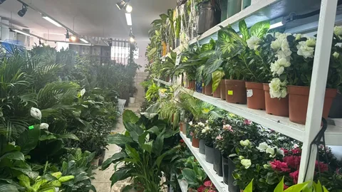 WhatsApp_Image_oiZKzVD.max-2560x1440.format-webp.jpegquality-90.webp