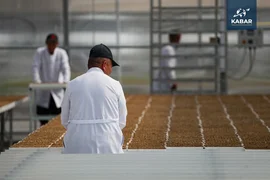 a051a831-205d-4059-9d58-af0d5aa76f67.jpeg