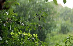 a7bf8306-addb-446e-bc7c-e8e3d90265d5.730x0.jpeg