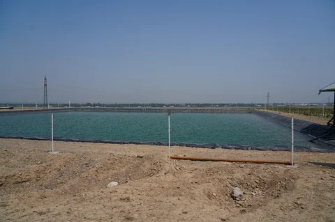 ad199691-b3d6-49ee-b8ef-90bc4ac6846d.jpg