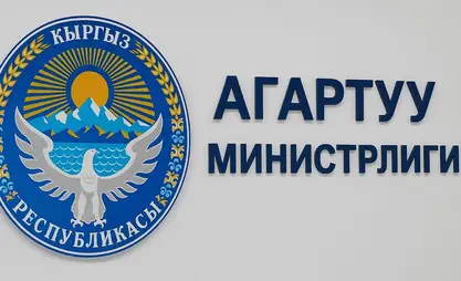 Эсептөө палатасы Агартуу министрлигинде финансылык бузууларды аныктады