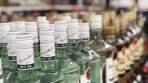 alkogol_tx33xwy.730x0.jpeg