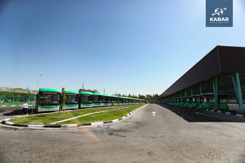 автобус 10.webp