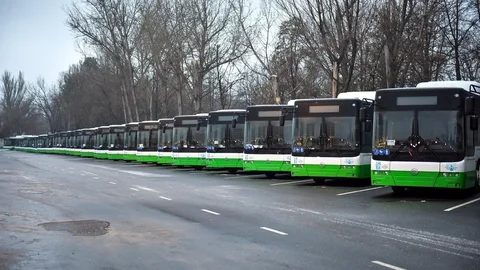 автобус 2.jpg