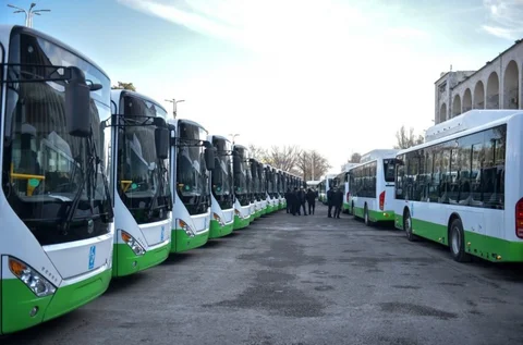 автобус 3.jpg