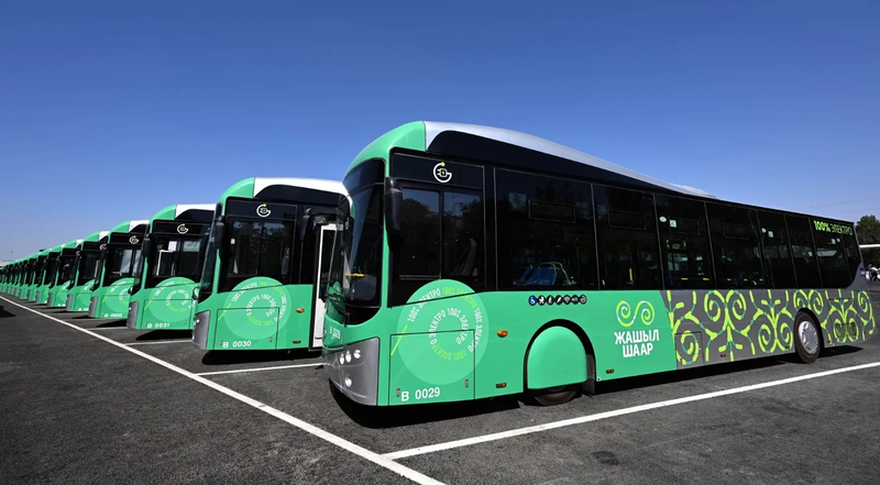 айдоочу 4.webp