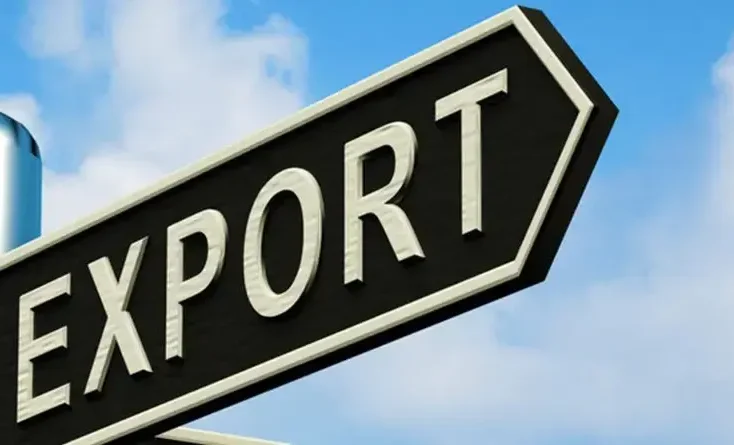 b5053514-bfb5-458f-a9be-335db210f4d7 (1).webp