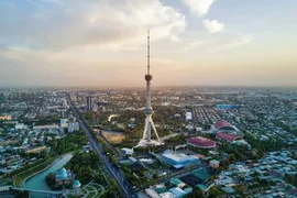 b_22_ID (1).webp