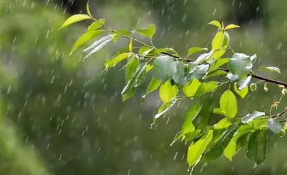 Көпчүлүк аймактарда өткүн өтүп, күн күркүрөйт – аба ырайы