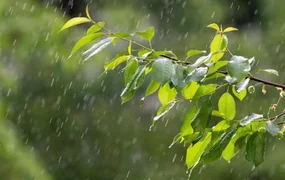 c04be8036df669adcd7a9d7350681171 (1).jpg