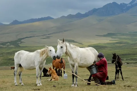 c0918511413c55.max-2560x1440.format-webp.jpegquality-90.webp