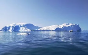c20747c2-c00f-48bf-aaf6-69b55b3ae5c4.jpeg