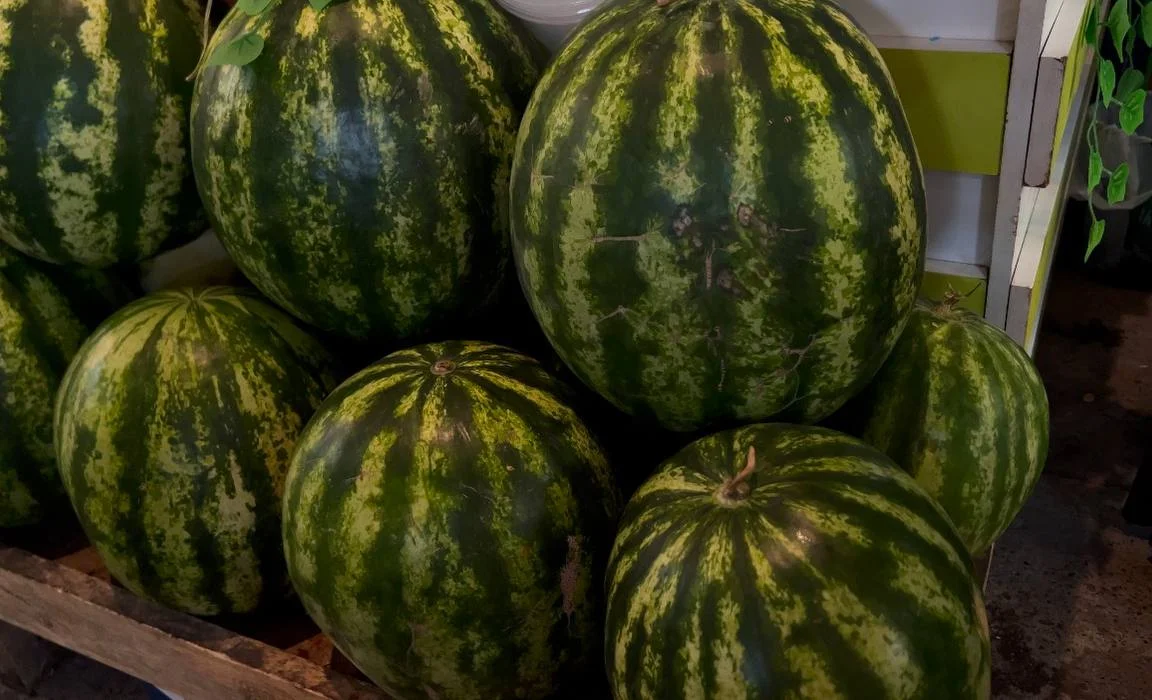 c66af446-51a4-4789-92c0-565af8023319 (1).jpg