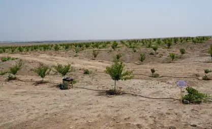 Кунарсыз жерлерди өздөштүрүүдө дыйкандарга ар тараптуу колдоо көрсөтүлөт