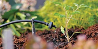 cf10b2b8ca679d5ef79776490c2a18f3 (1).jpg