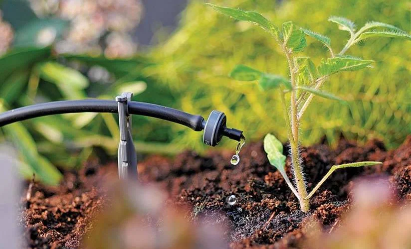 cf10b2b8ca679d5ef79776490c2a18f3 (1).jpg