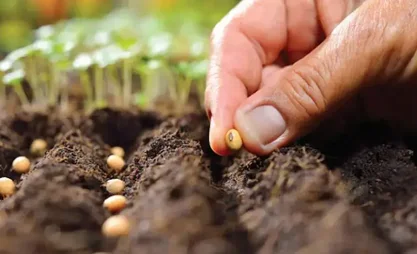 Өлкөдө үрөнчүлүктү жана питомниктерди өнүктүрүүгө жеңилдетилген насыя берилүүдө