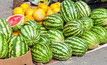 Өлкөгө алынып келинген дарбыз, коондун сапатын көзөмөлдөө күчөтүлдү