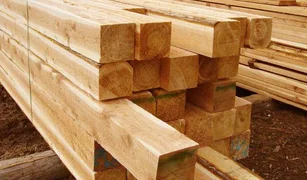 derevo-850x498.jpg