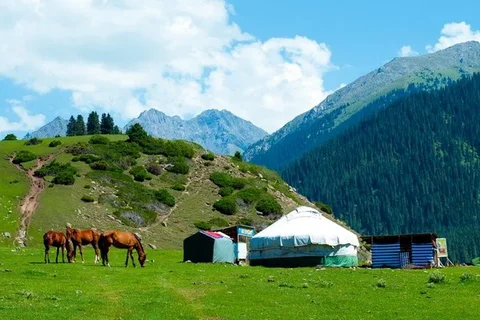 djailoo.max-2560x1440.format-webp.jpegquality-90.webp