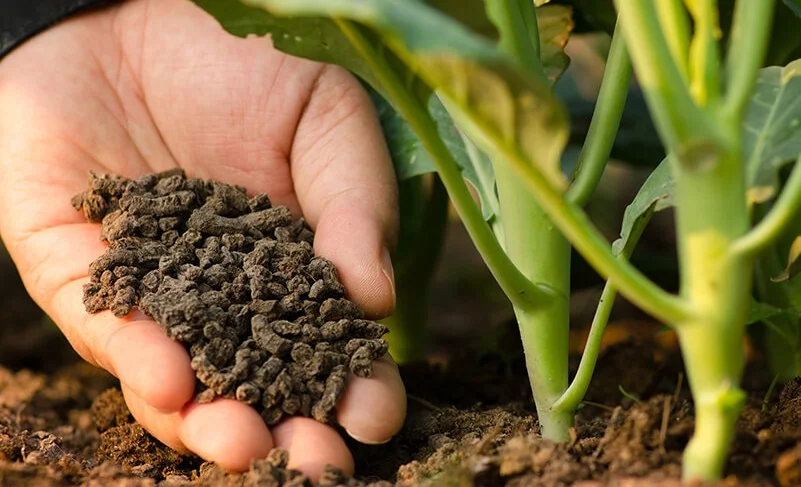 e34fd64f-8b06-4307-84a8-19becab2e487 (2).jpg