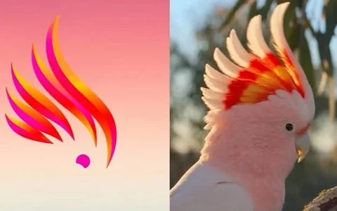 e72d5189-e915-4139-b722-62914834c724.jpeg