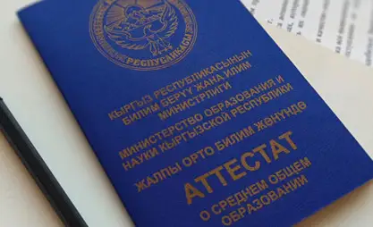 Акыйкатчы институту кыздын Бишкектеги колледжден Караколго которулуусуна көмөк көрсөттү