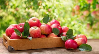 f646cbc2-7a04-.max-2560x1440.format-webp.jpegquality-90.webp