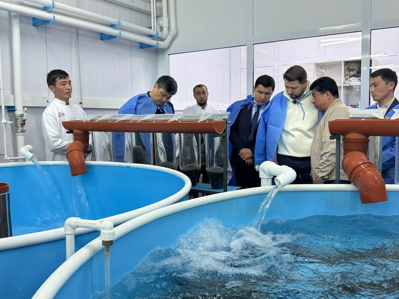 f88ef1cb-4ee7-.max-2560x1440.format-webp.jpegquality-90